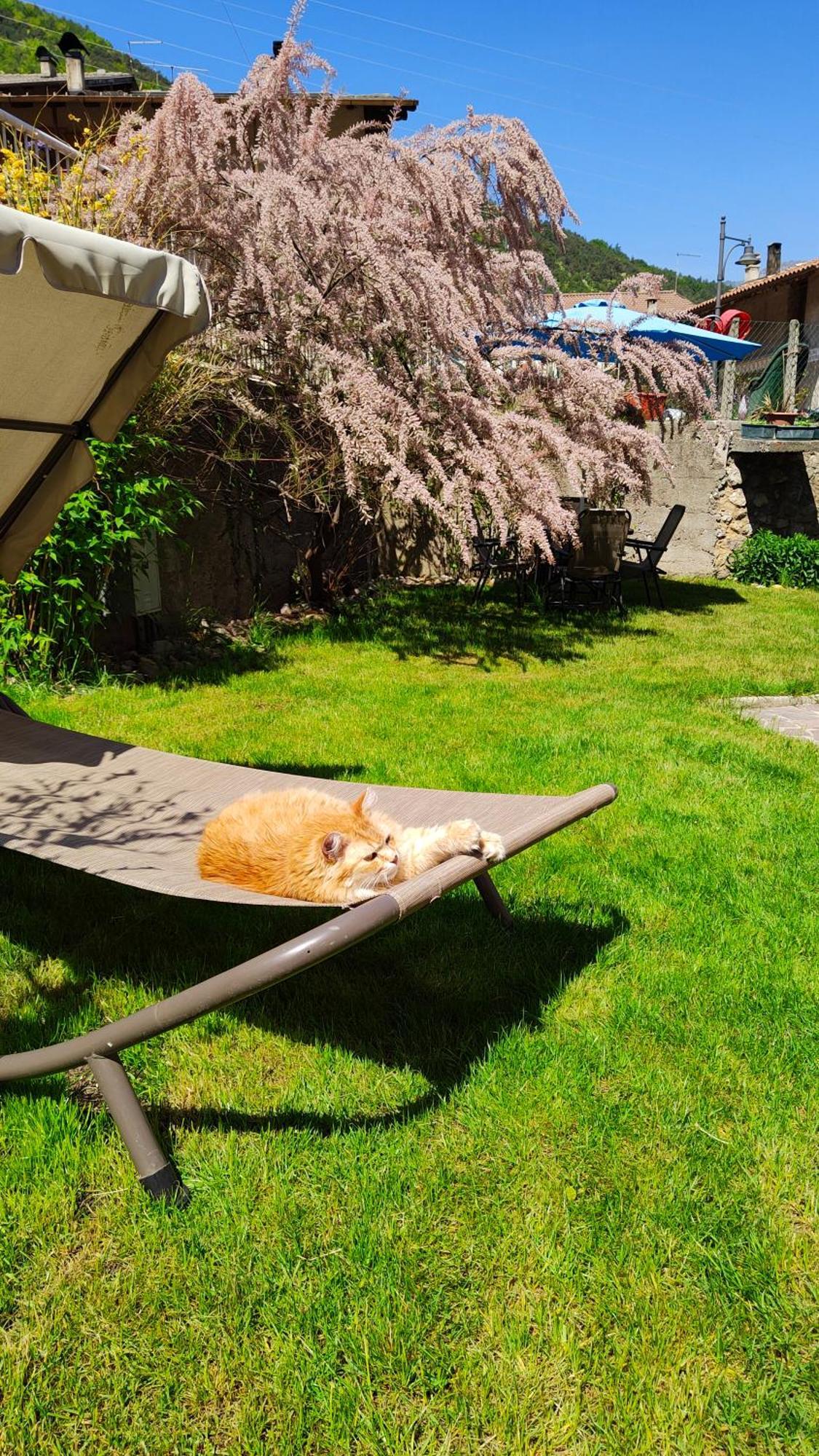 Val Del Vent Holiday Home - Ideale per coppie - Brusino Esterno foto